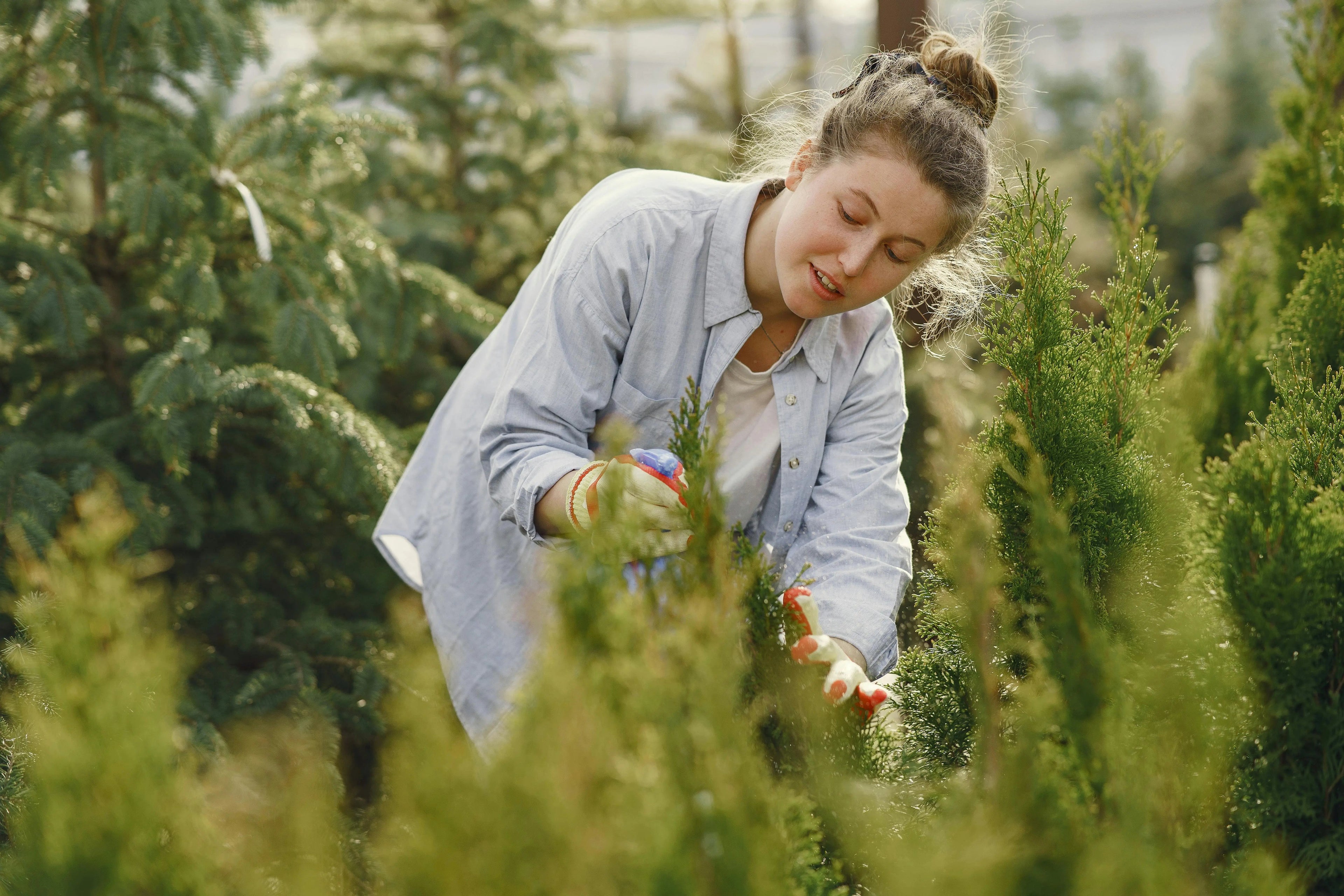 The-DJI-T100-Spreading-System-Tutorial Ares Acres